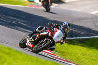 Lower Group Black Bikes